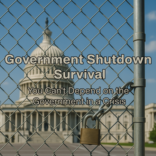 A locked fence outside of the capitol building with you on the outside during a government shutdown.
